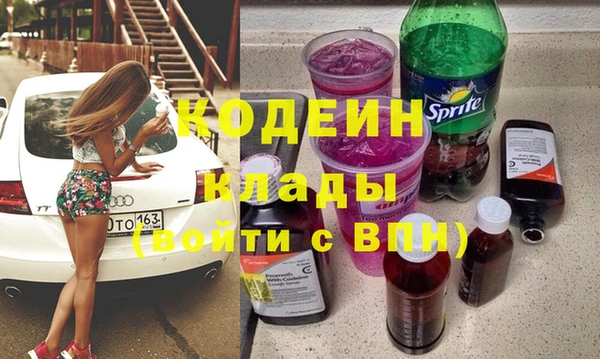 гашик Сатка