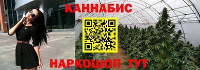 spice Краснознаменск