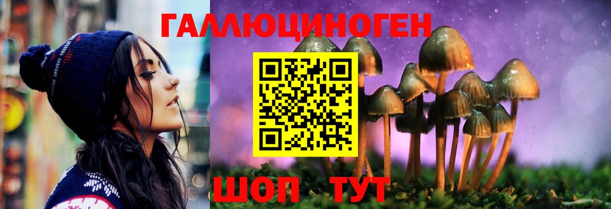 Альфа ПВП Пенза